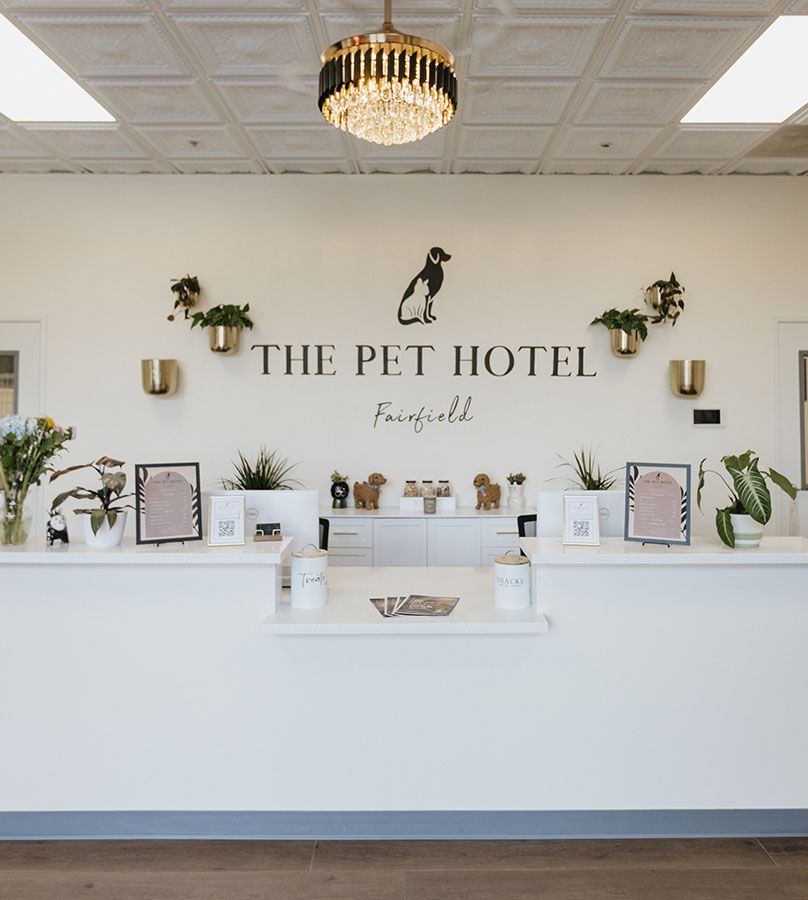 The Pet Hotel Fairfield Front Reception