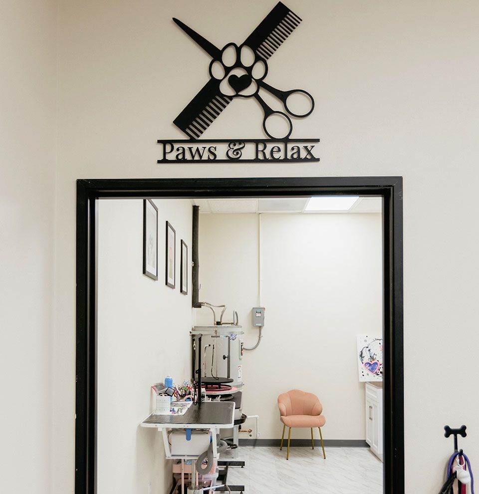 Grooming Room at The Pet Hotel Fairfield