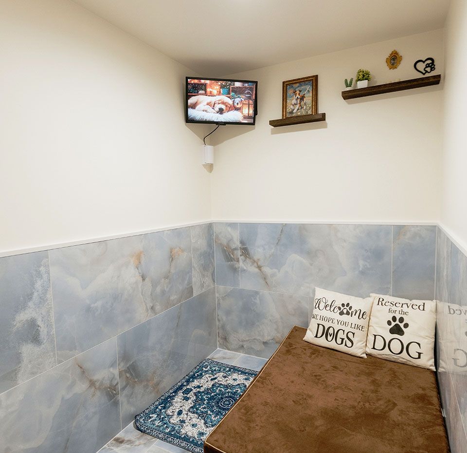 Canine Suite at The Pet Hotel Fairfield